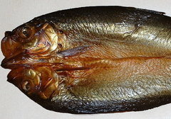 kippered herring