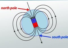 magnetic pole