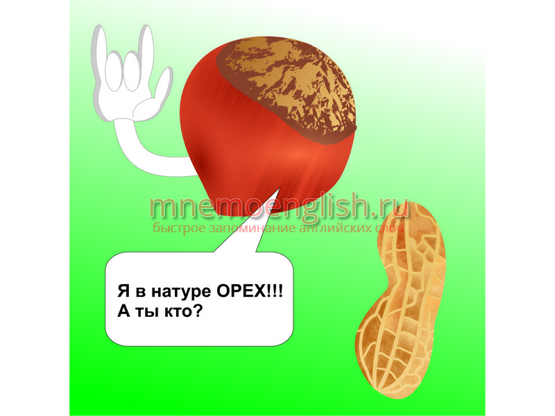 Nut — Орех
