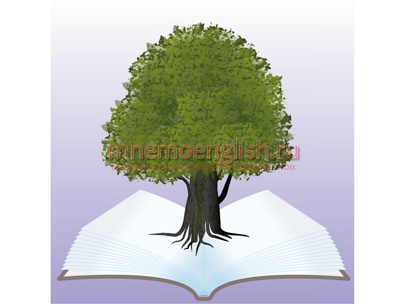 Book — Книга