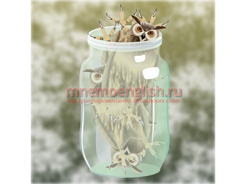 Fill — Заполнить