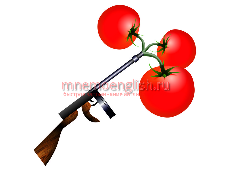 Tomato — Помидор