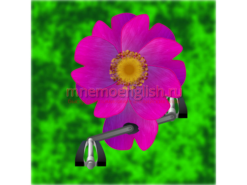 Мнемокартинка: Petal — Лепесток