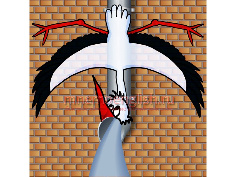 Мнемокартинка: Stork — Аист