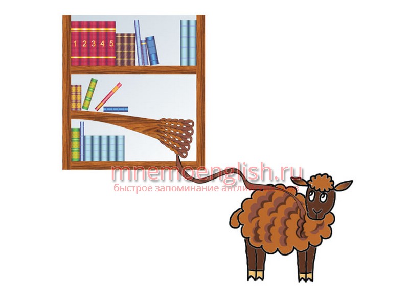 Shelf — Полка