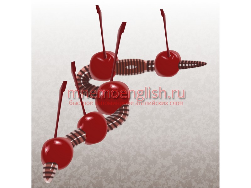 Cherry — Вишня