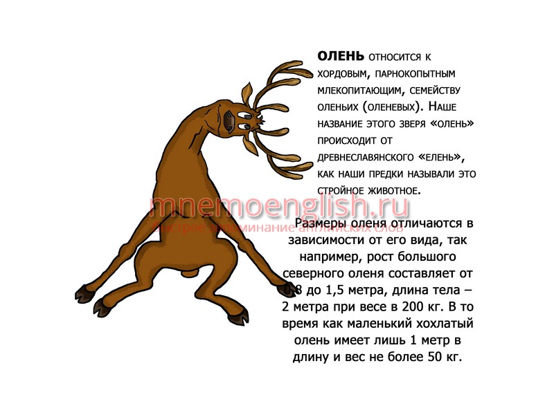 Align — Выровнять