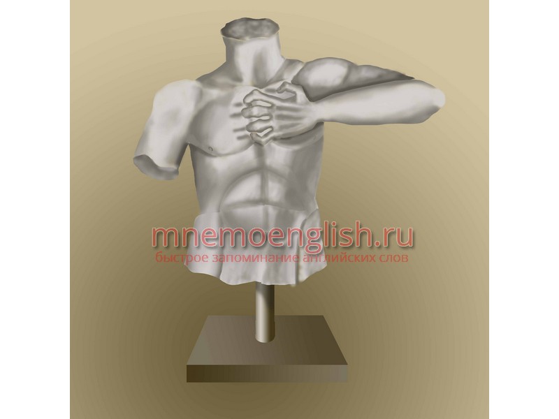 Chest — Грудь,грудная клетка