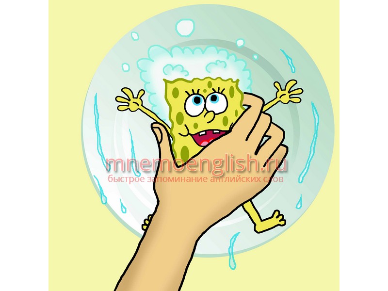 Sponge — Губка