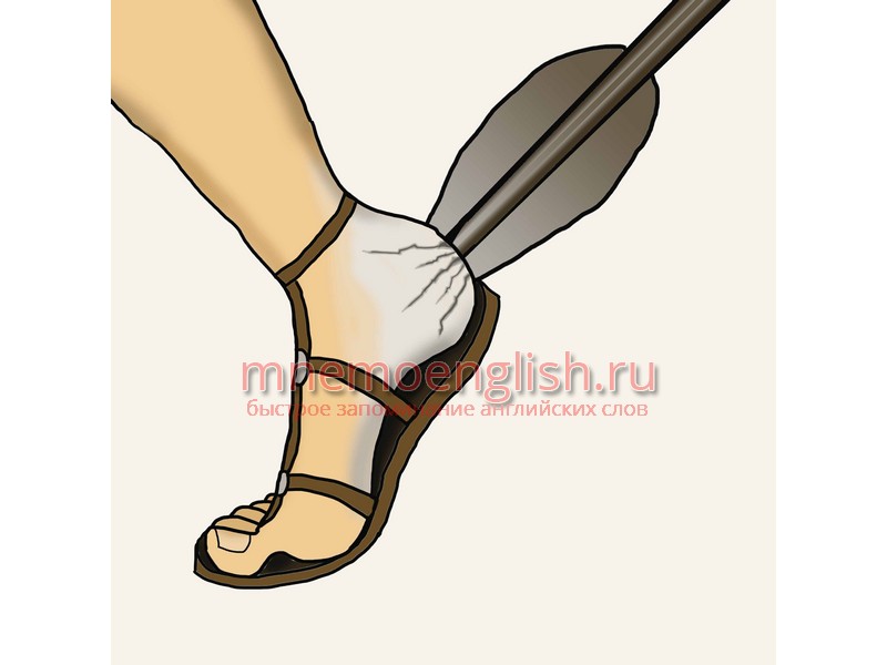 Heel — Пятка