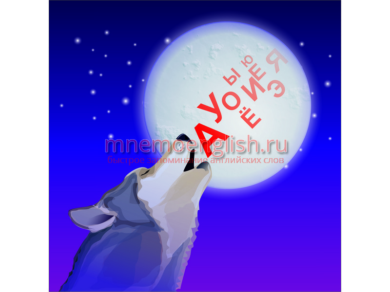Vowel — Гласный звук