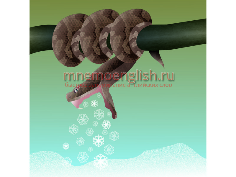 Snake — Змея