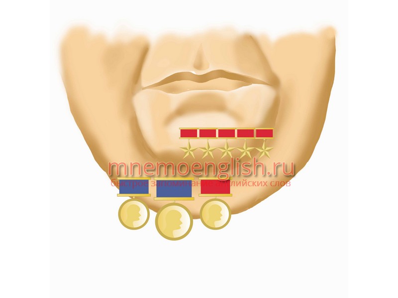Chin — Подбородок