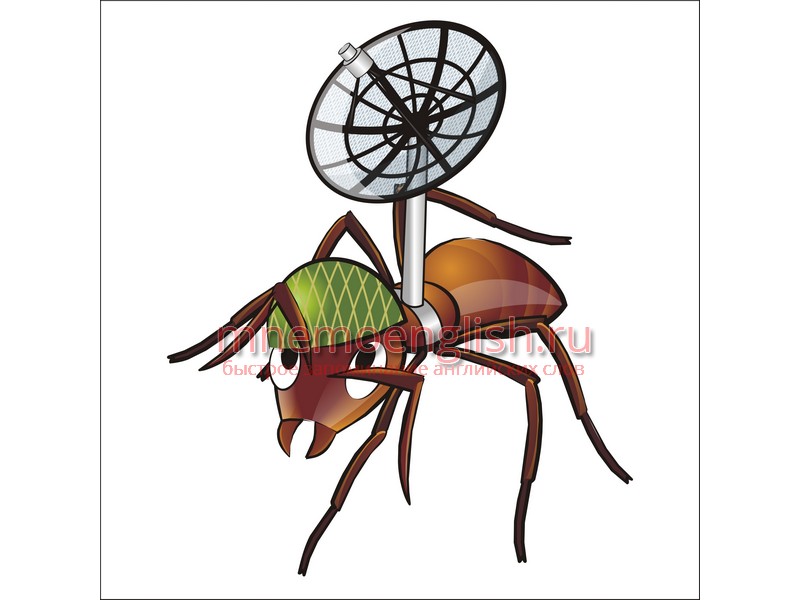 Ant — Муравей