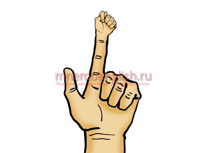 Finger — Палец
