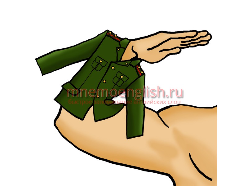 Forearm — Предплечье