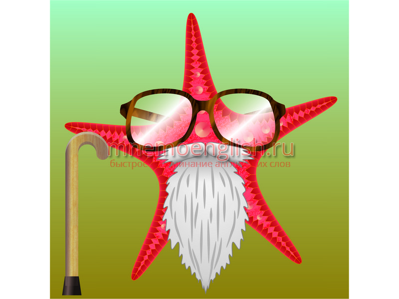 Star — Звезда
