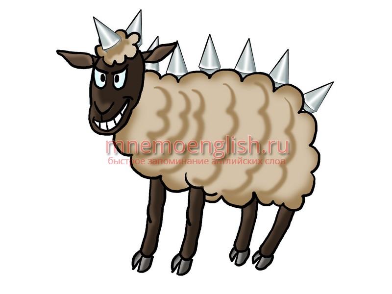 Sheep — Овца