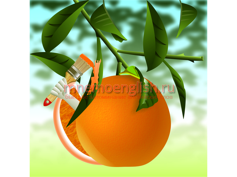 Orange — Апельсин