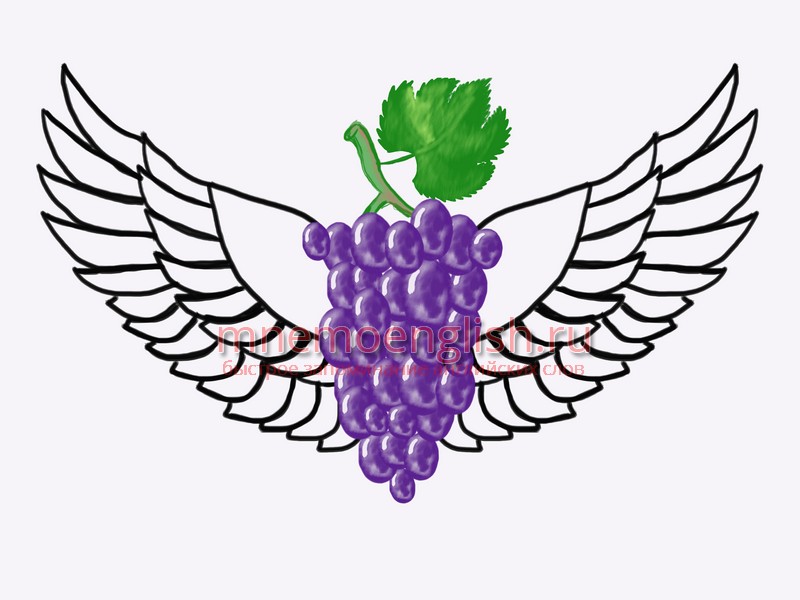 Wing — Крыло