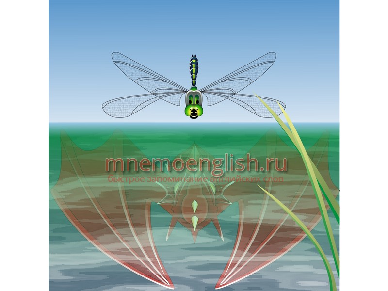 Мнемокартинка: Dragonfly — Стрекоза