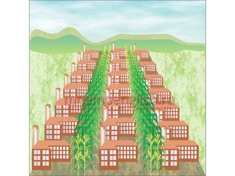 Plant — Растение