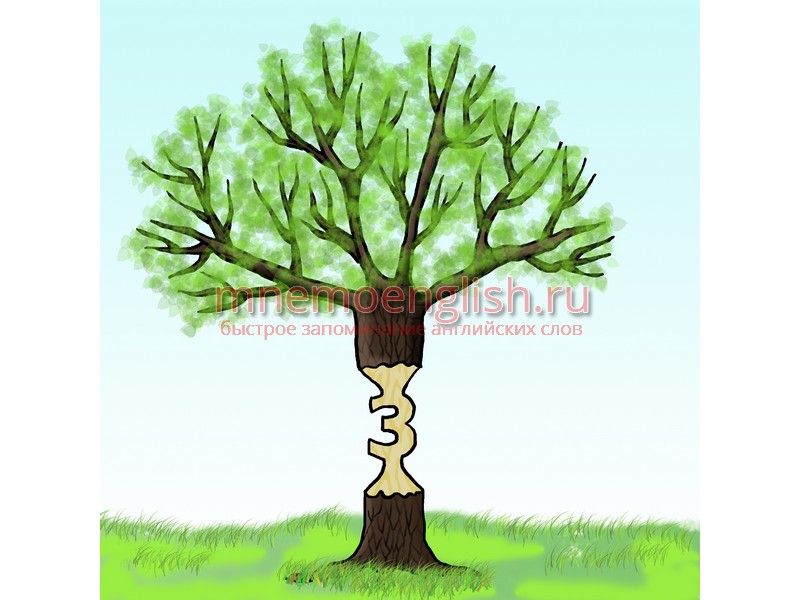Tree — Дерево