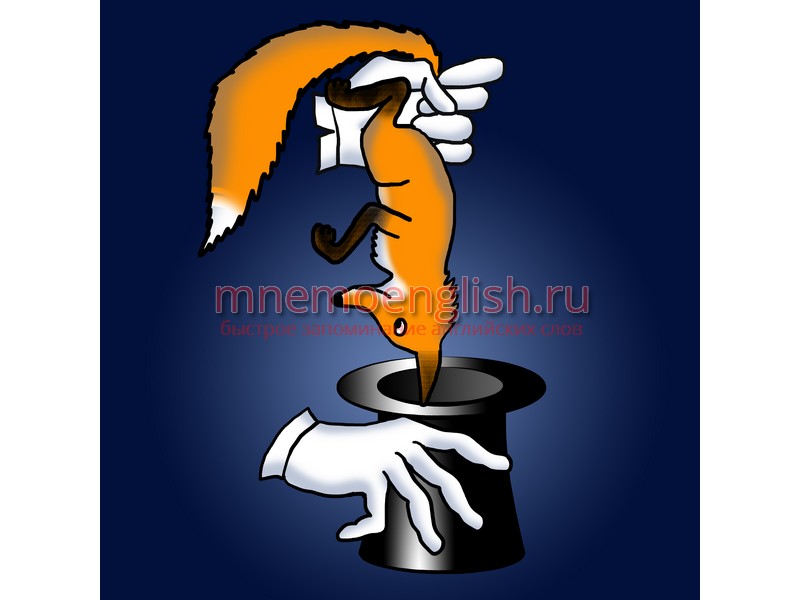 Fox — Лиса