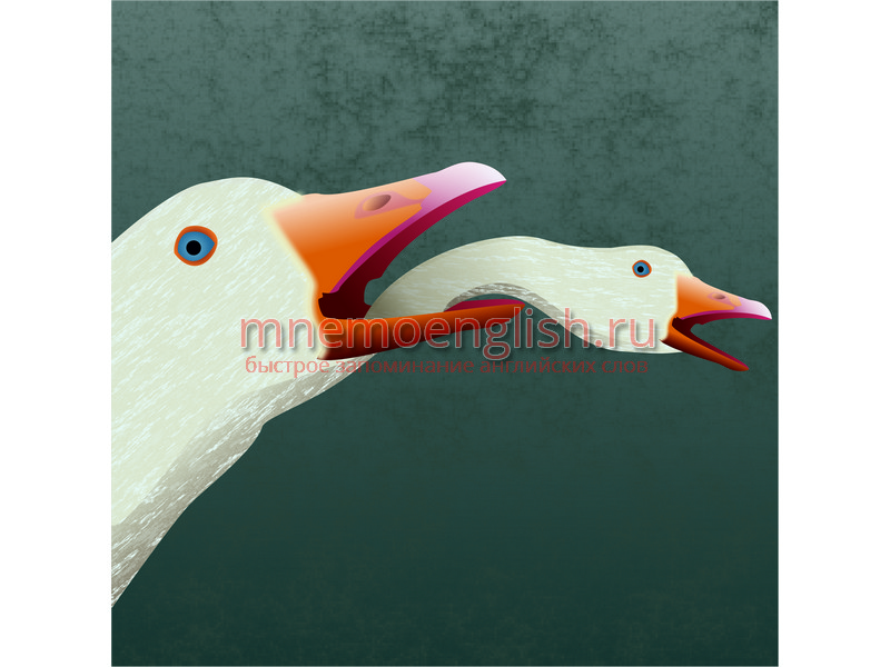 Goose — Гусь