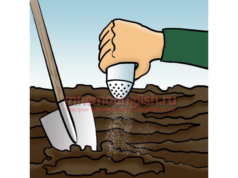 Soil — Почва