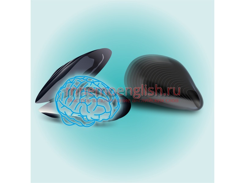 Mind — Разум