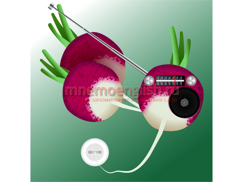 Мнемокартинка: Radish — Редис
