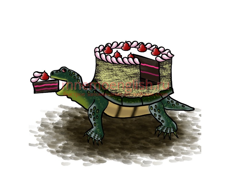 Turtle — Черепаха