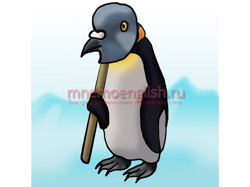 Pigeon — Голубь