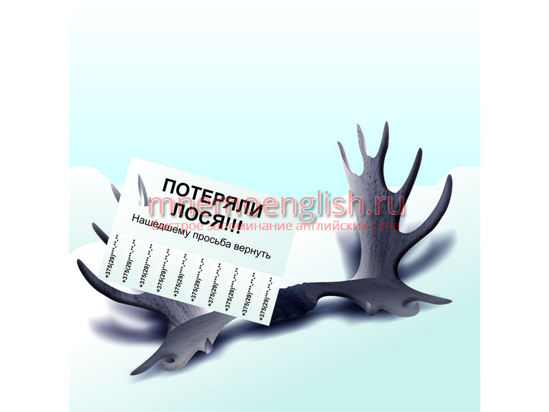 Loss — Потеря