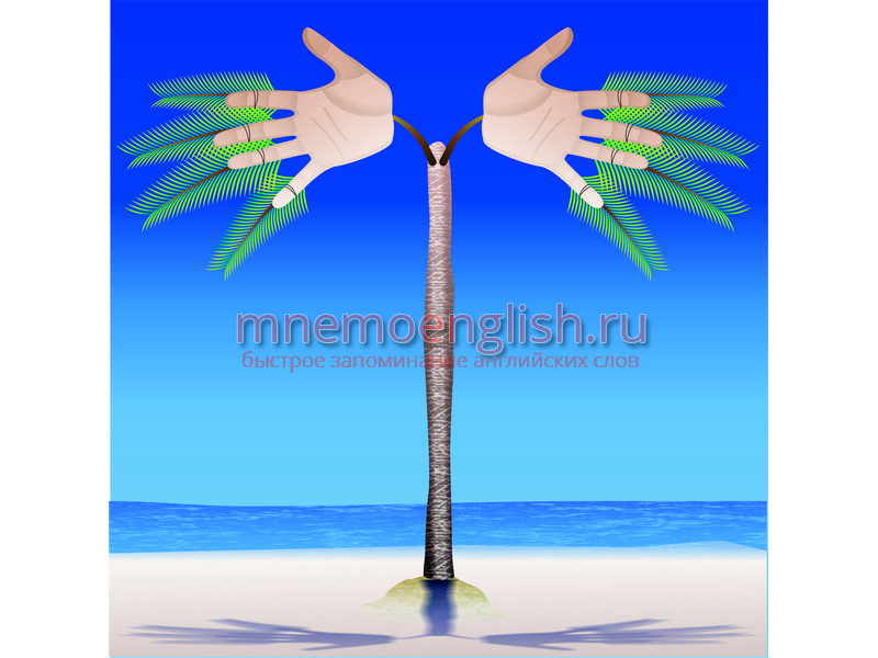 Palm — Ладонь,пальма