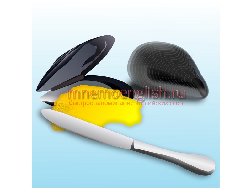 Мнемокартинка: Mussel — Мидия