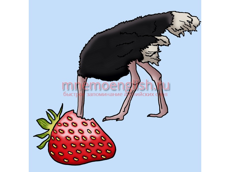 Strawberry — Клубника