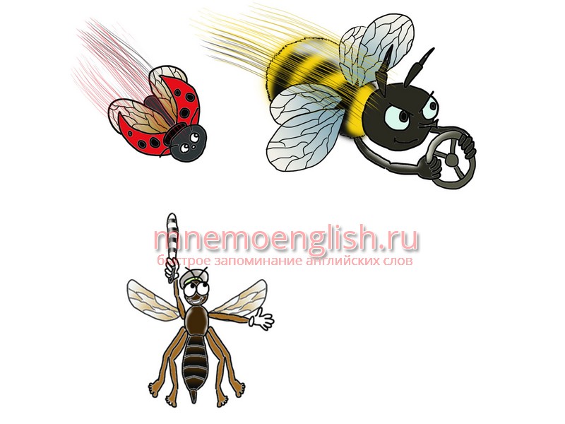 Motion — Движение