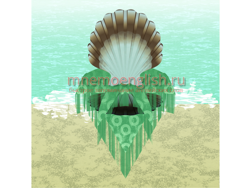 Shell — Раковина