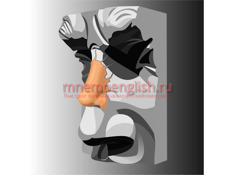 Nose — Нос