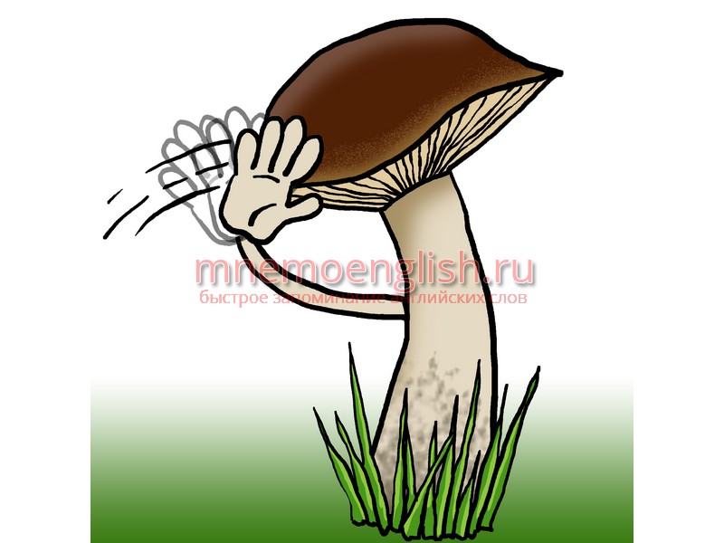 Mushroom — Гриб