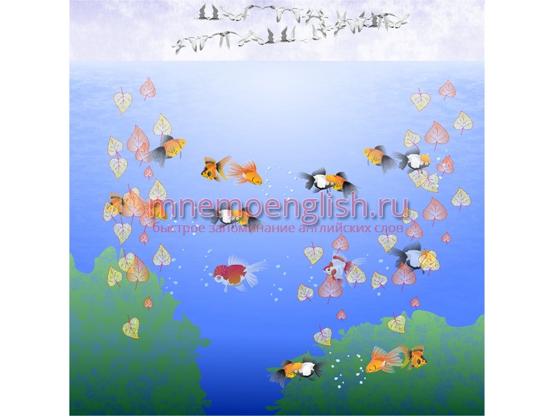 Ocean — Океан