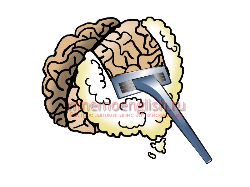 Brain — Мозг