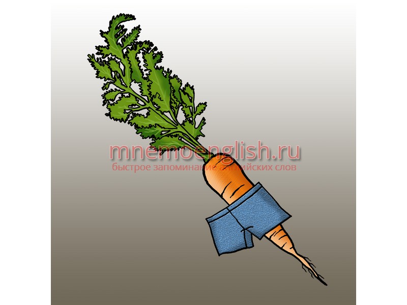 Carrot — Морковь