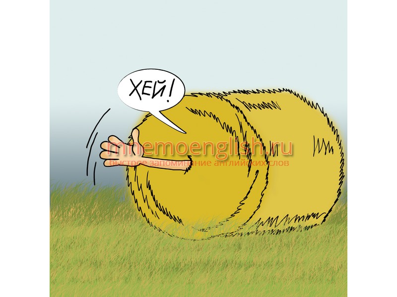 Hay — Сено
