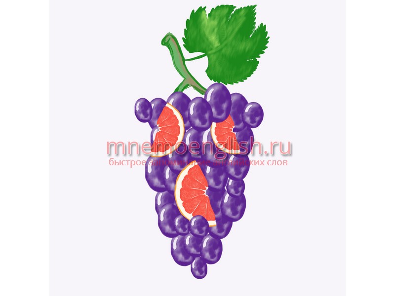 Grape — Виноград