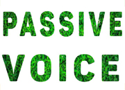 ПАССИВНЫЙ ЗАЛОГ / Passive Voice / Past simple vs Present simple
