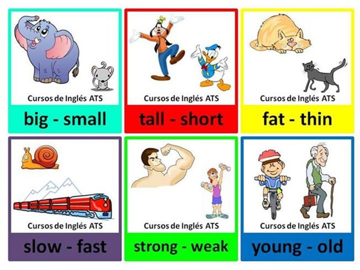 Прилагательные на английском для детей